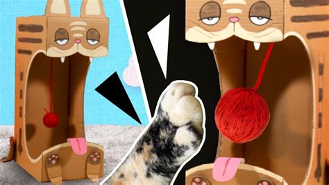 DIY Cat Toy from Cardboard | Easy & Fun Craft Projects for Cats - YouTube