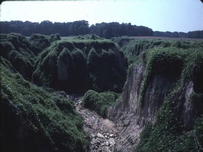 Crowleys Ridge - GEOGRAPHICAL Regions of arkansas