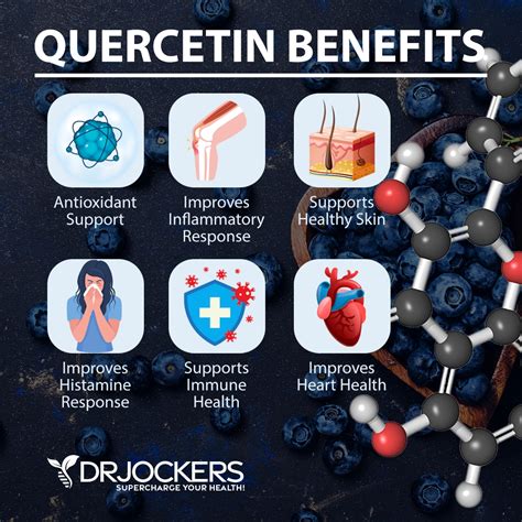 Quercetin: Top 5 Benefits and How to Use It - DrJockers.com