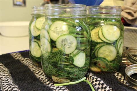 Happy National Pickle Day! | Dill pickle, Pickles, Homemade pickles