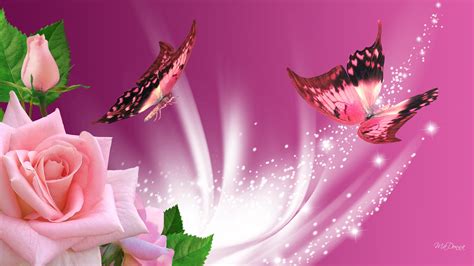 3D Butterfly Wallpaper HD - WallpaperSafari