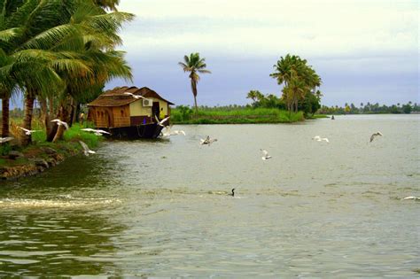 File:Kerala backwater.jpg - Wikipedia