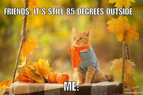 Pin by Becky Maley on Fall | Fall cats, Cats, Cats and kittens