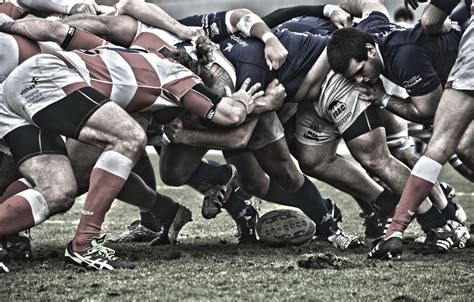 Rugby Wallpapers on WallpaperDog