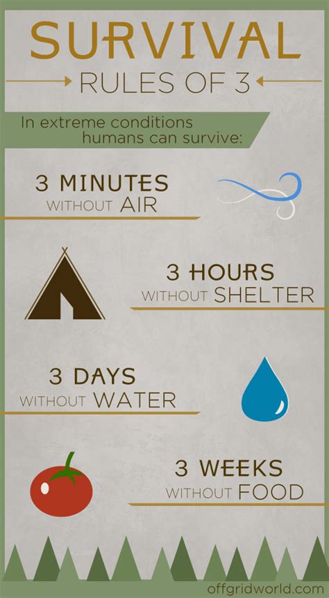 Survival Fundamentals - Finding Water In The Wilderness - Off Grid World