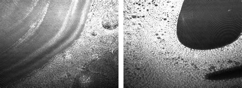 New Research Finds that PFAS disrupt and weaken bacterial membrane ...