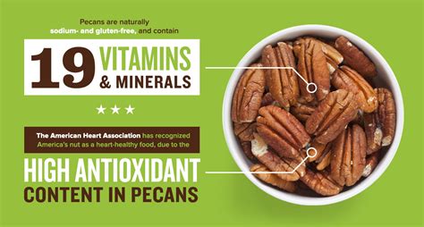 Science and Nutrition - Georgia Pecans