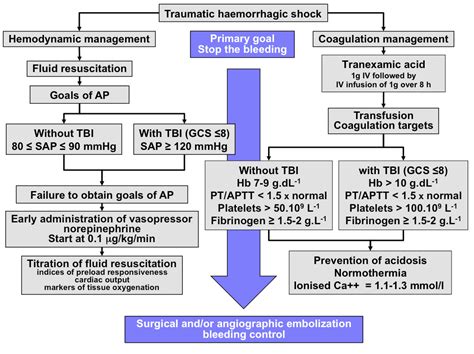 Resuscitative strategies in traumatic hemorrhagic shock | SpringerLink