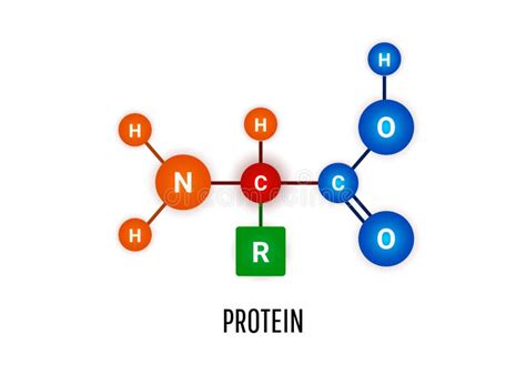 Proteína. Fórmula Química Estrutural E Modelo De Moléculas Sobre Fundo ...