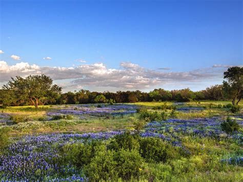 12 Awesome Places to See Bluebonnets In Texas (+ FAQ!) - Totally Texas ...