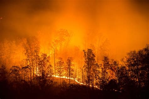 Washington State Is on Track to Have the Most Wildfires Ever This Year ...