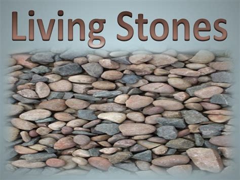 1 Peter 2:5 you also, as living stones, are being built up as a spiritual house for a holy ...