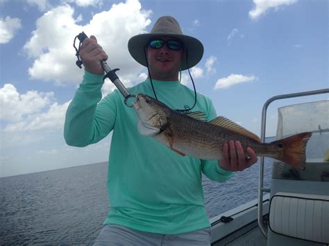 New Orleans Fishing Charters in June / New Orleans fishing report 6/22 ...