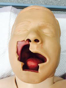 Short report publication – facial gunshot wound moulage - CSDS Blog