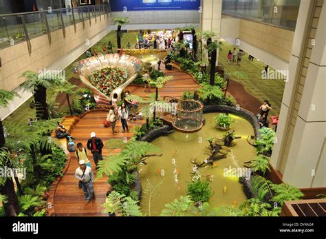 A garden in Changi Airport terminal 2, Singapore Stock Photo - Alamy