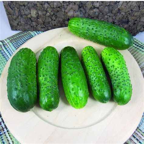 Cukes: Tips, Tricks And Picks For Growing Cucumbers - 27 East