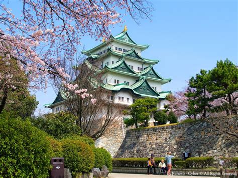 3 Must-See Nagoya Castle Attractions｜ Prices, How to Get There, Surrounding Attractions and More ...