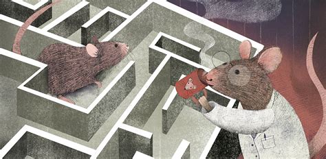 Rodent learning sheds light on missed social cues in autism | Spectrum | Autism Research News