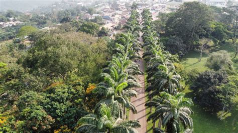 Aburi Botanical Gardens & Park – TortoisePath