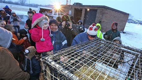 Groundhog Day: Buckeye Chuck, Punxsutawney Phil make predictions