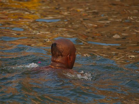 Ganges River Pollution Bodies