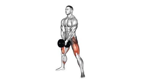 5 Best Compound Leg Exercises With Dumbbells For Building Strong And Toned Legs - Workout Guru