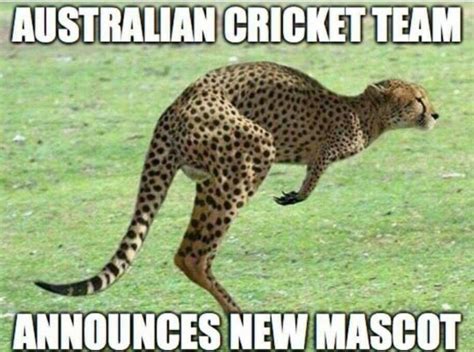 Australian Cricket Jokes After Ball-Tampering Incident "Shames the ...