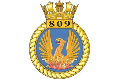 im1 809 Squadron of the Royal Navy Fleet Air Arms badge - Flying Tigers