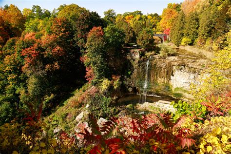 10 Best Waterfalls in Hamilton, Ontario: Explore the World's Waterfall Capital! - The Holistic ...