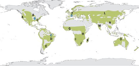 Grasslands Biome Map