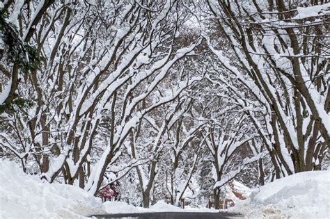 Photos: Snowstorm hits western New York | CNN