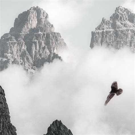 2932x2932 Bald Eagle Flying Through Clouds And Mountains 4k Ipad Pro Retina Display HD 4k ...