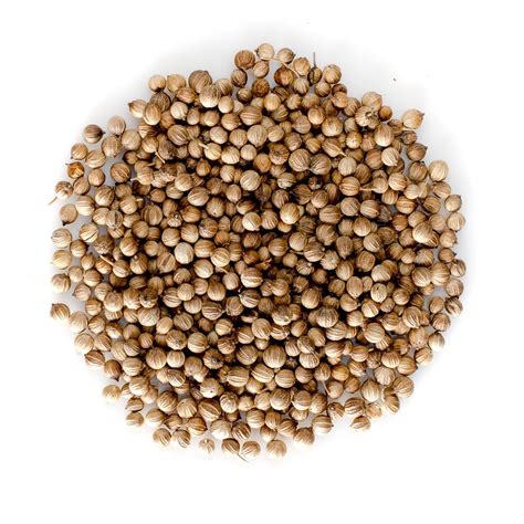 Coriander Seeds Whole | Bulk Coriander