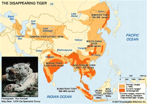 Bengal Tiger Habitat Map