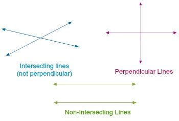 How are perpendicular lines and intersecting lines alike? | Homework ...