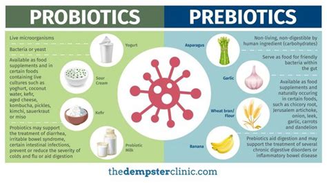 Prebiotics vs Probiotics | Prebiotics and probiotics, Prebiotics ...