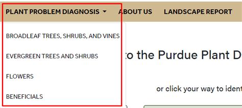 Online Purdue Plant Doctor: A Magical Journey into Plant Care
