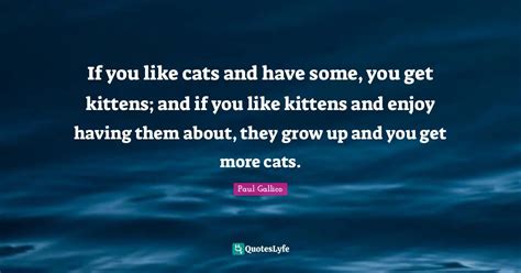 If you like cats and have some, you get kittens; and if you like kitte ...