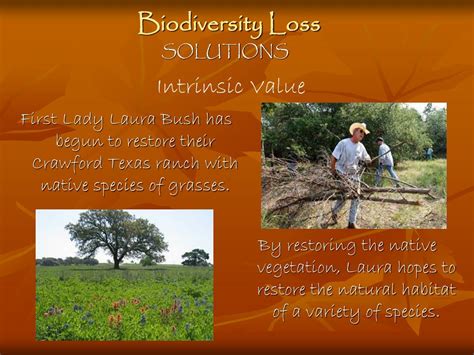 PPT - Biodiversity Loss PowerPoint Presentation, free download - ID:140846