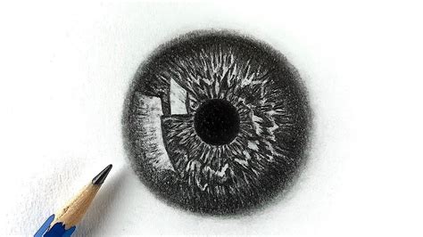 Drawing Of An Eyeball – Warehouse of Ideas