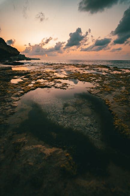 Wooden Dock during Sunset · Free Stock Photo