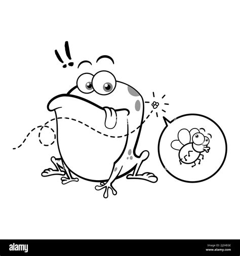 Funny Frog Looking At Fly Outline Stock Vector Image & Art - Alamy