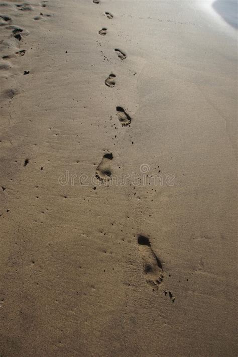 Feet Tracks on the Wet Sand, Lanzarote, Canary Islands, November 2022 ...