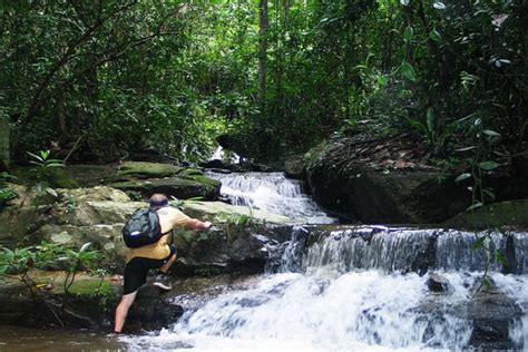 Hiking at Doi Suthep - Pui National Park : The Route to Wat Pa Lad