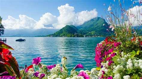 sea, color, Flowers, Mountains - Beautiful views wallpapers: 2560x1440