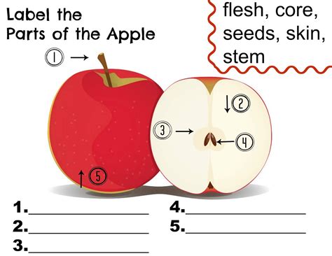 Parts Of An Apple Printable - Printable Word Searches