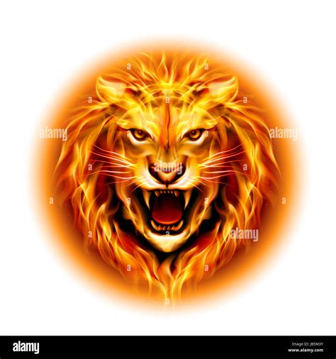 Head of aggressive fire lion isolated on white background Stock Photo ...