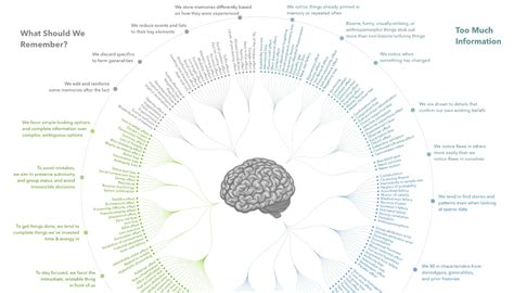 Every Single Cognitive Bias in One Infographic