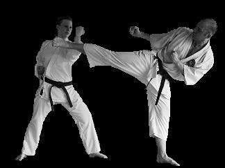 Shotokan Karate - art of the empty hand: the value of karate blocks