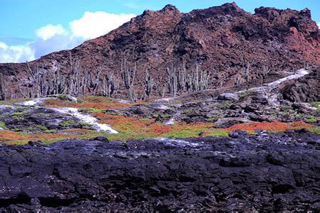 Santiago Island Galapagos - Travel Guide, Wildlife, Highlights, Tips & More